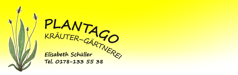 Kompaktes Logo